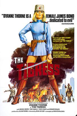 如何写seo优化标准