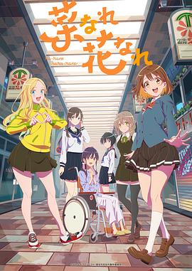 成都整站优化佳好乐云seo